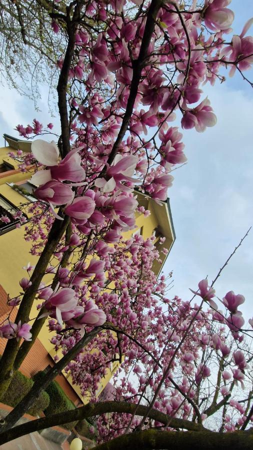 La Casa Blu- Forum Di Assago, Ospedale Humanitas, Milanofiori, Ieo รอซซาโน ภายนอก รูปภาพ